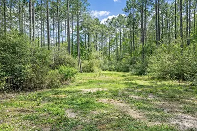 2370 Westville Road, Groveton, TX 75845 - Photo 3