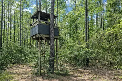 2370 Westville Road, Groveton, TX 75845 - Photo 5