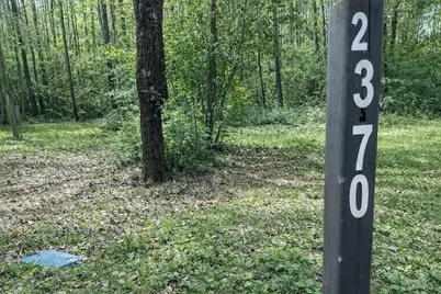 2370 Westville Road, Groveton, TX 75845 - Photo 9