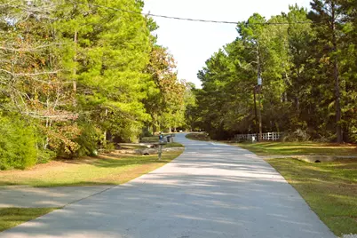 24854 Shady Oaks Boulevard, Montgomery, TX 77316 - Photo 3