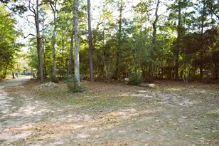24854 Shady Oaks Blvd, Montgomery, TX 77316 - Photo 39