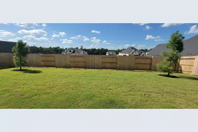 5052 American Sycamore Trail, Montgomery, TX 77316 - Photo 9