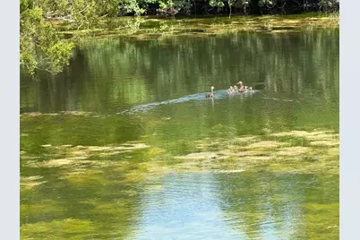 4430 Fm 1457, Round Top, TX 78954 - Photo 19