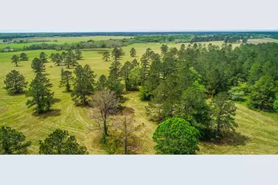 40902 Sh 105, Batson, TX 77519 - Photo 5