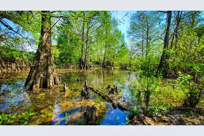 40902 Sh 105, Batson, TX 77519 - Photo 13
