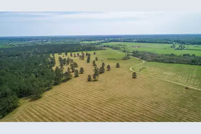 40902 Sh 105, Batson, TX 77519 - Photo 45