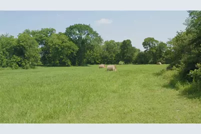 00 Fm 390 N, Brenham, TX 77833 - Photo 1