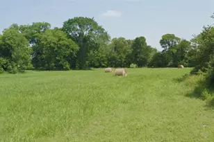 00 Fm 390 N, Brenham, TX 77833 - Photo 1