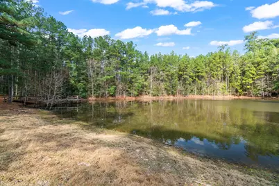 3060 Hubert Cemetery Road, Livingston, TX 77351 - Photo 29