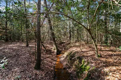 3060 Hubert Cemetery Road, Livingston, TX 77351 - Photo 43