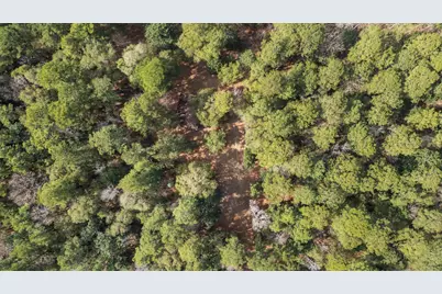 3060 Hubert Cemetery Road, Livingston, TX 77351 - Photo 31