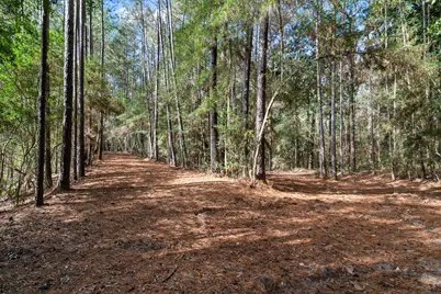 3060 Hubert Cemetery Road, Livingston, TX 77351 - Photo 35