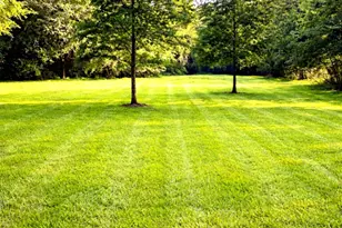 510 County Rd 320, Cleveland, TX 77327 - Photo 15