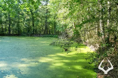 00 Hwy 69, Colmesneil, TX 75938 - Photo 19
