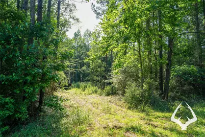 00 Hwy 69, Colmesneil, TX 75938 - Photo 3