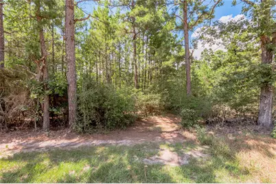 Na Fm 355, Trinity, TX 75862 - Photo 1