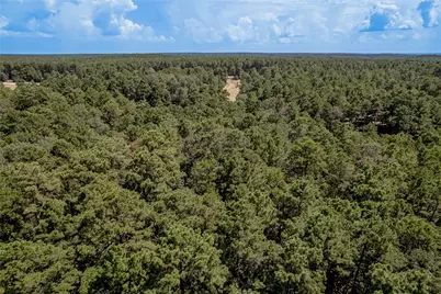 Na Fm 355, Trinity, TX 75862 - Photo 11