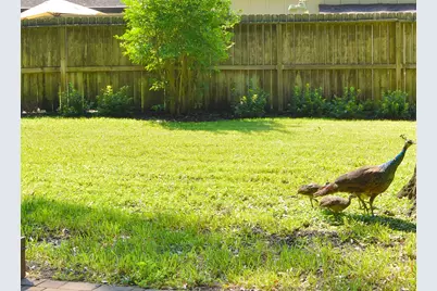 14119 Kellywood Lane, Houston, TX 77079 - Photo 31
