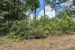 1030 Butler Rd, Vidor, TX 77662 - Photo 1