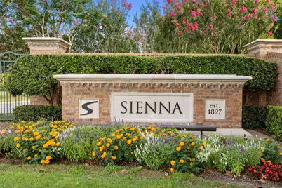 10027 Golden Woods Drive, Missouri City, TX 77459 - Photo 39