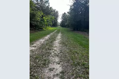 0 County Line Road, Shepherd, TX 77371 - Photo 31