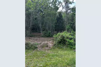 0 County Line Road, Shepherd, TX 77371 - Photo 13