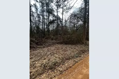 0 County Line Road, Shepherd, TX 77371 - Photo 3