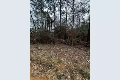 0 County Line Road, Shepherd, TX 77371 - Photo 5