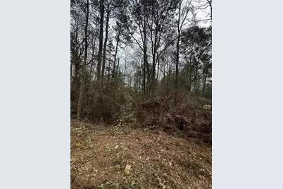 0 County Line Road, Shepherd, TX 77371 - Photo 15