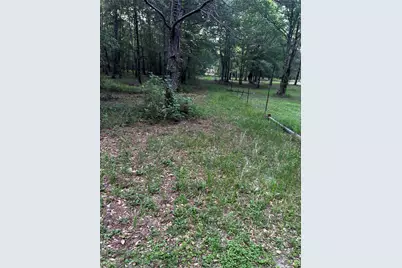 0 County Line Road, Shepherd, TX 77371 - Photo 43