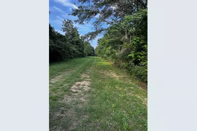 0 County Line Road, Shepherd, TX 77371 - Photo 9