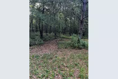 0 County Line Road, Shepherd, TX 77371 - Photo 37