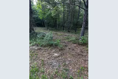 0 County Line Road, Shepherd, TX 77371 - Photo 35