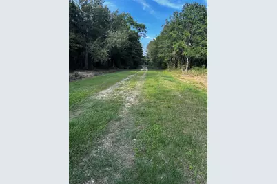 0 County Line Road, Shepherd, TX 77371 - Photo 25