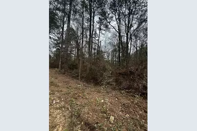 0 County Line Road, Shepherd, TX 77371 - Photo 11