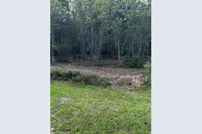 0 County Line Road, Shepherd, TX 77371 - Photo 15