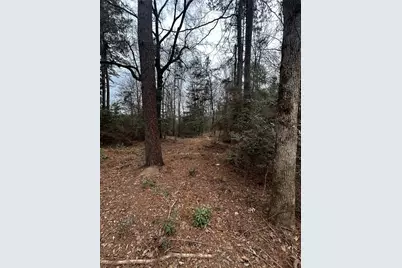 0 County Line Road, Shepherd, TX 77371 - Photo 9