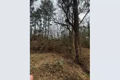 0 County Line Road, Shepherd, TX 77371 - Photo 7