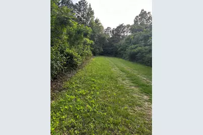 0 County Line Road, Shepherd, TX 77371 - Photo 5