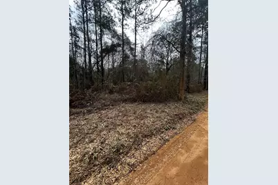 0 County Line Road, Shepherd, TX 77371 - Photo 1