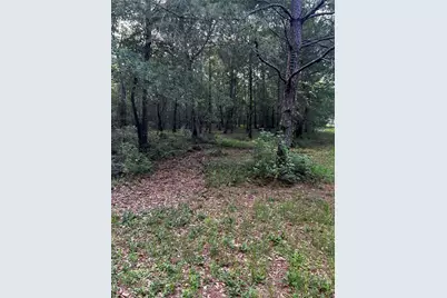 0 County Line Road, Shepherd, TX 77371 - Photo 41