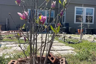 2314 Corry Crest Cir, Katy, TX 77493 - Photo 23