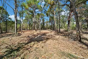 206 B Morris Ln, Huntsville, TX 77320 - Photo 1