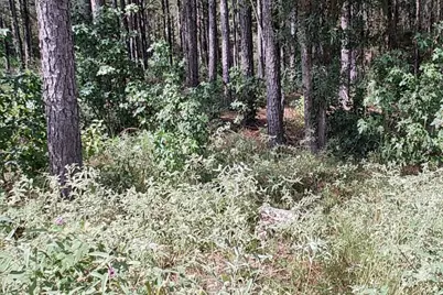 107 Henry Stuart Court, Huntsville, TX 77340 - Photo 3