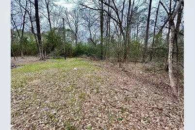 Tbd Bluebonnet Drive, Onalaska, TX 77360 - Photo 1