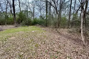 Tbd Bluebonnet Dr, Onalaska, TX 77360 - Photo 1