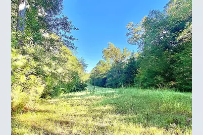 000 County Road 1190, Grapeland, TX 75844 - Photo 11