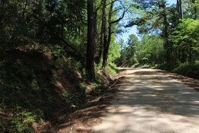 000 County Road 1190, Grapeland, TX 75844 - Photo 1