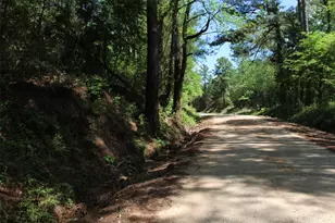 000 County Road 1190, Grapeland, TX 75844 - Photo 1