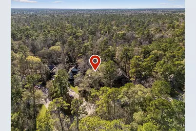 98 S Wilde Yaupon Court, The Woodlands, TX 77381 - Photo 43